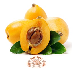 [FNI30K0025] Nèfles du Japon bio