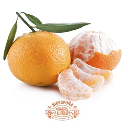 [FOK30K0030] Okitsu bio